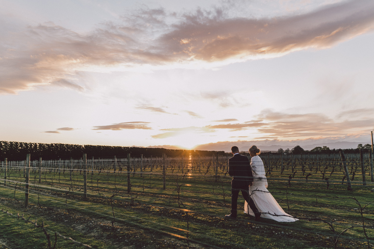 SMP_Poppies_Wairarapa_Wedding_182.jpg
