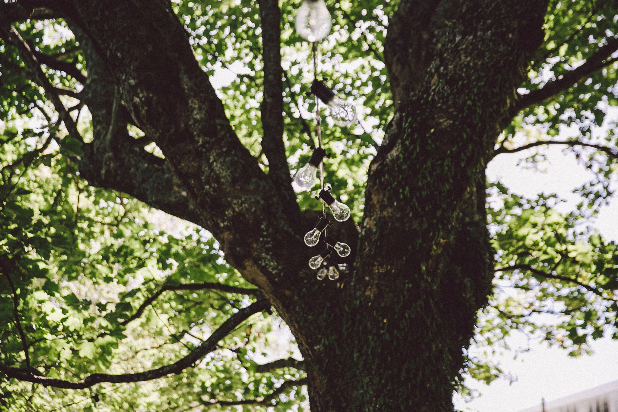 JemmaNick_wairarapa_wedding_019.jpg