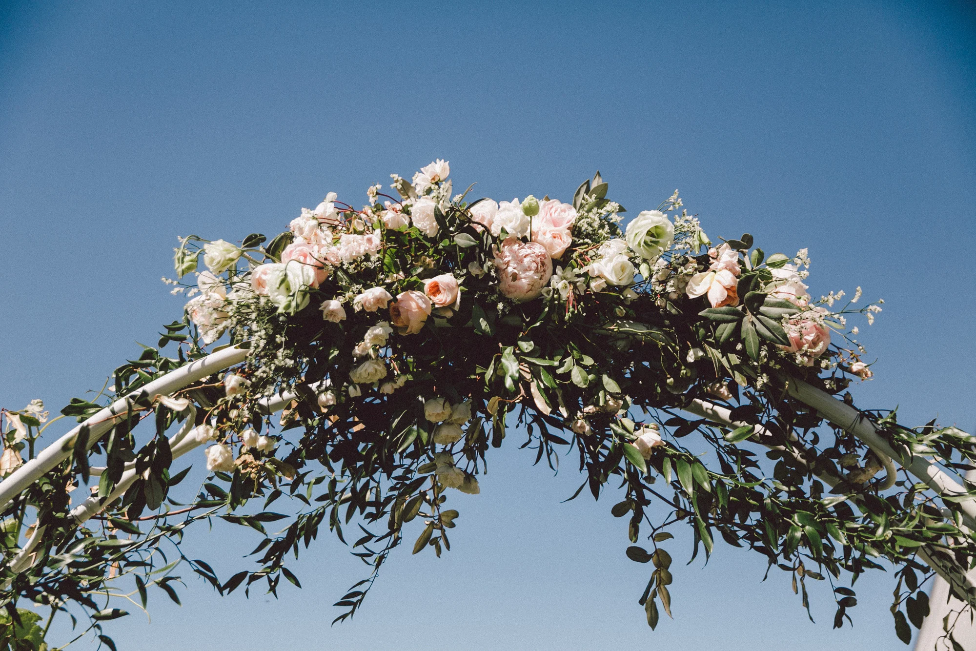 SMP_POPPIES_WEDDING_martinborough_021.jpg