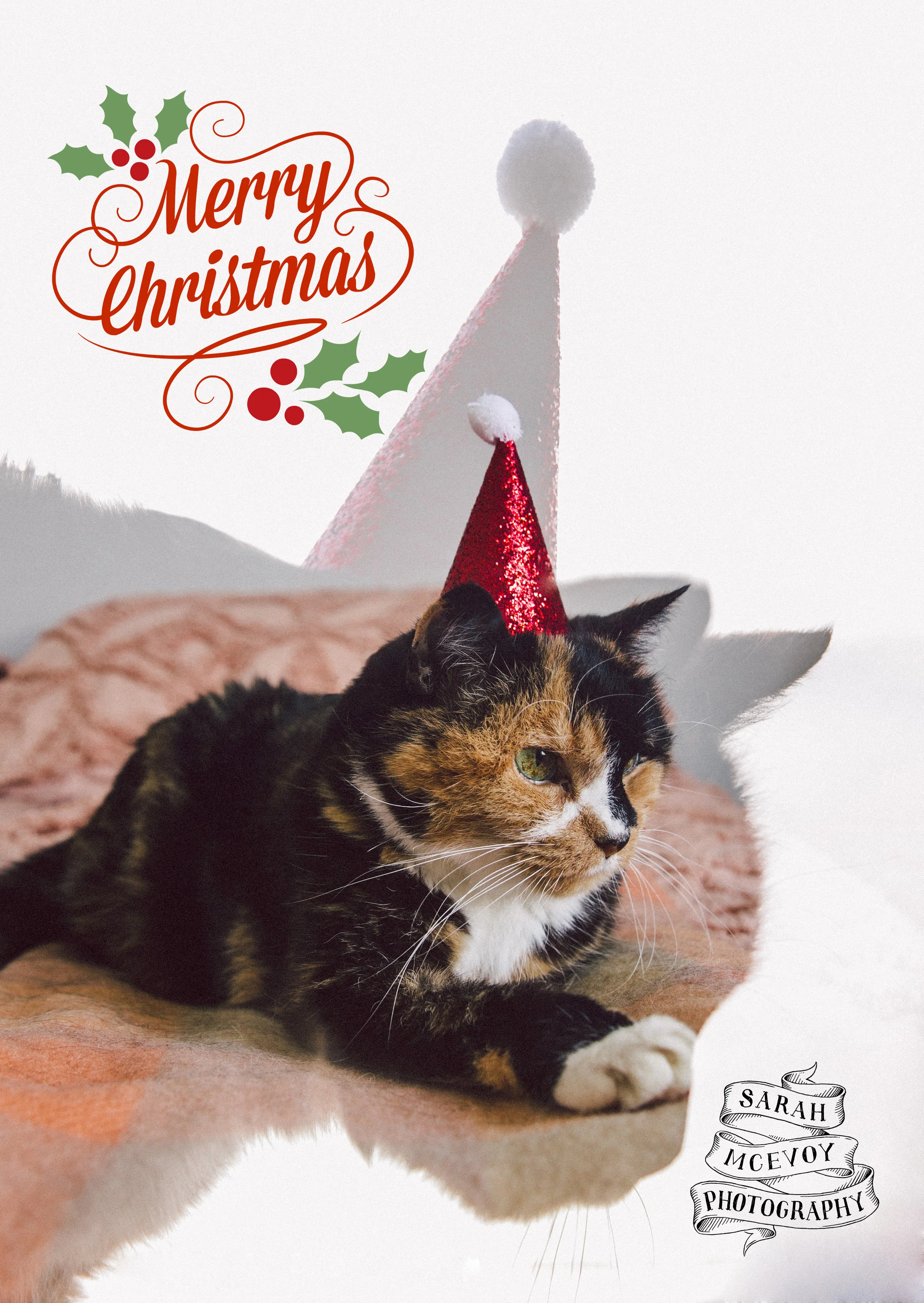  2018. In an attempt to step it up I did an in camera double exposure. 