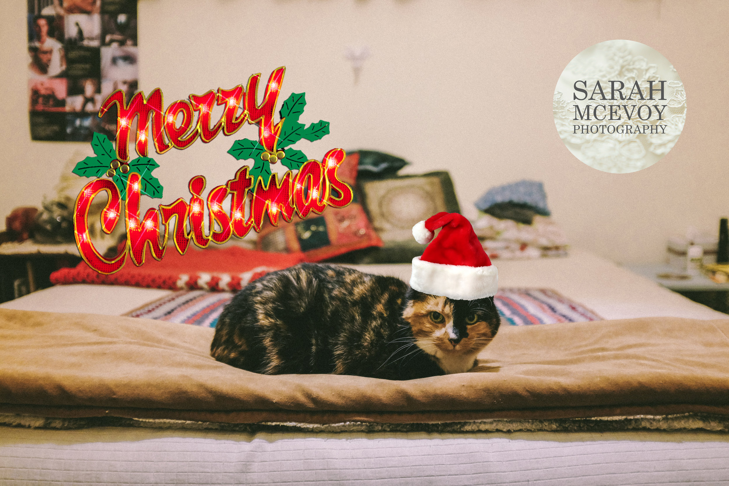  2013. After some ambitious initial concepts we settled on this photoshopped on hat. (pre rebranding logo!) 