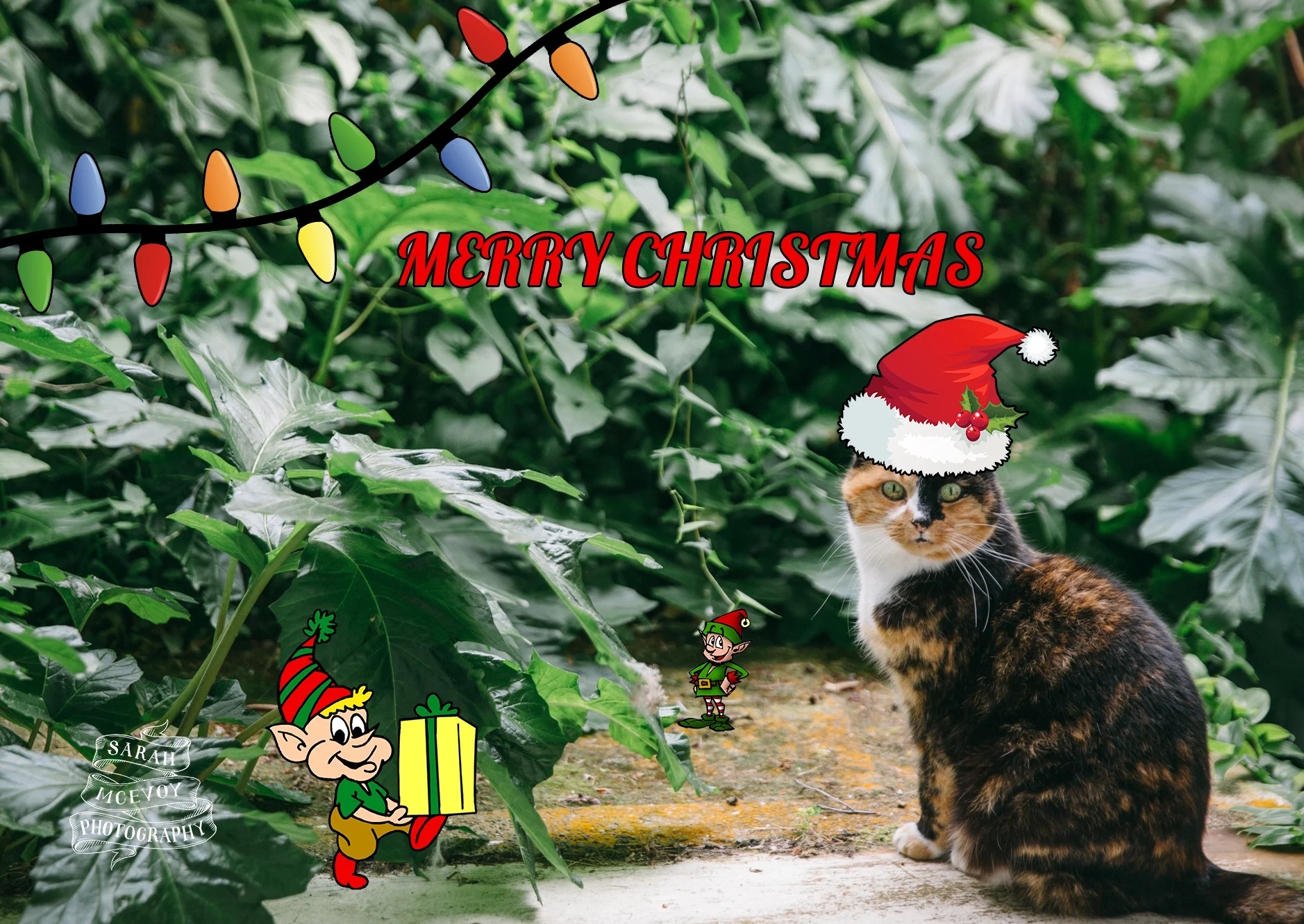  2015. Clip art overload. 