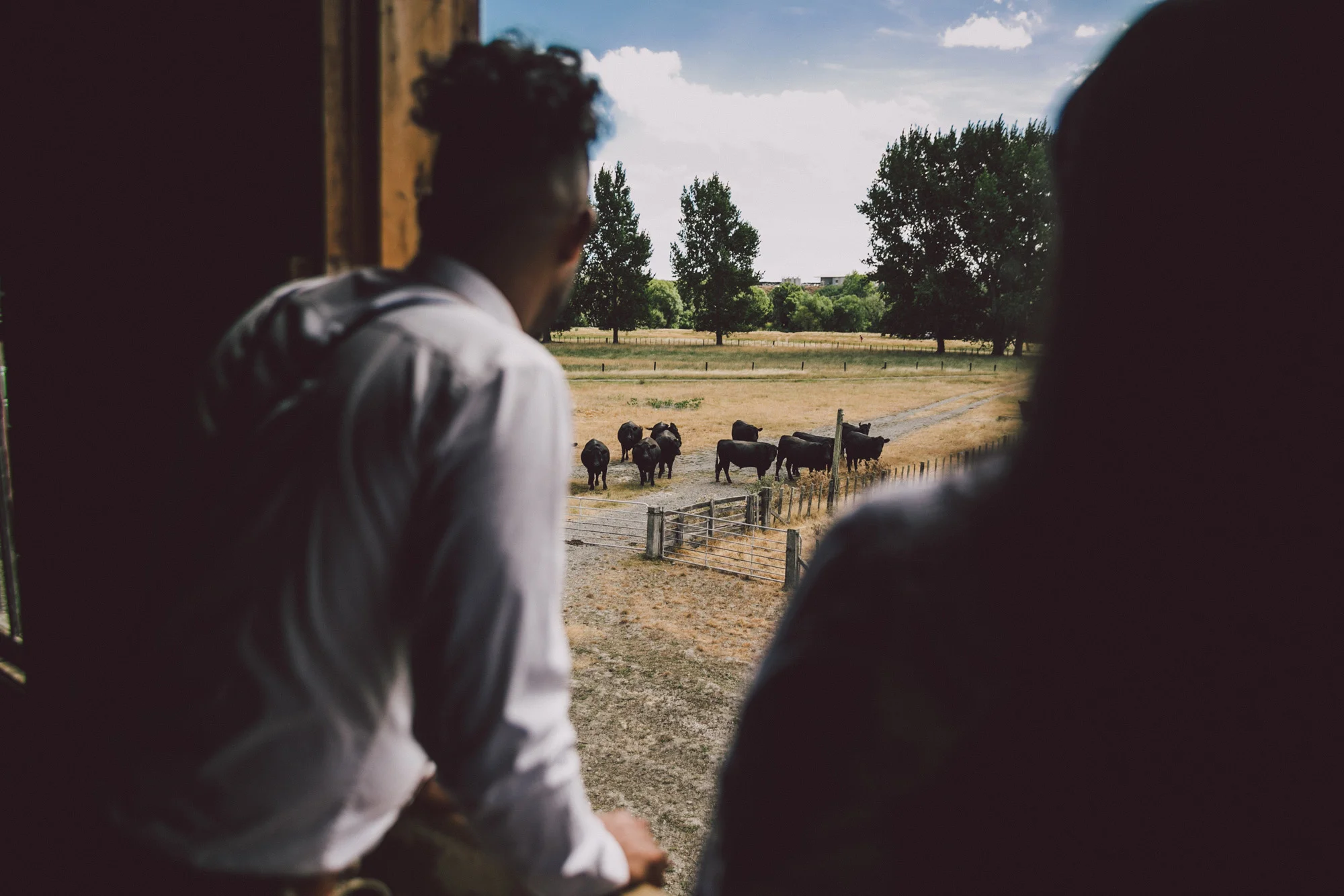 SMP_Wairarapa_Martinborough_Wedding_052.jpg
