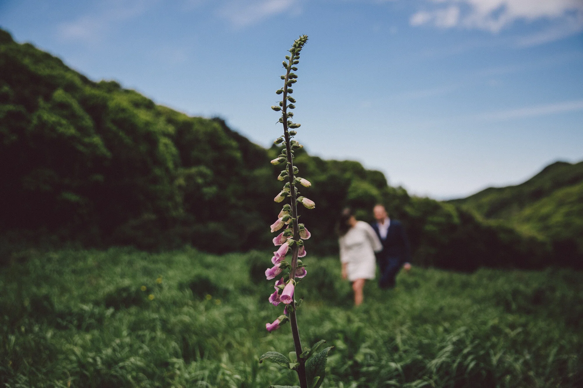 Sarah_McEvoy_Wellington_Elopement_wedding_025.jpg