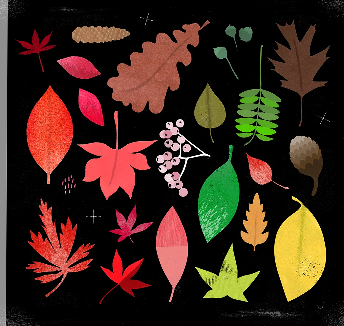 Leaves LR.jpg