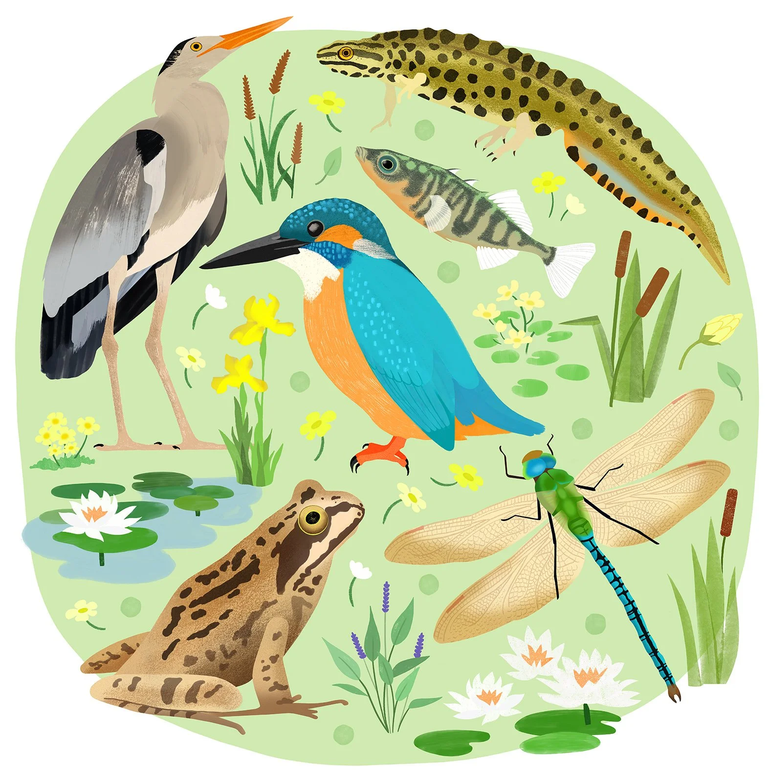 Jessie Ford - Spring Montage.jpg