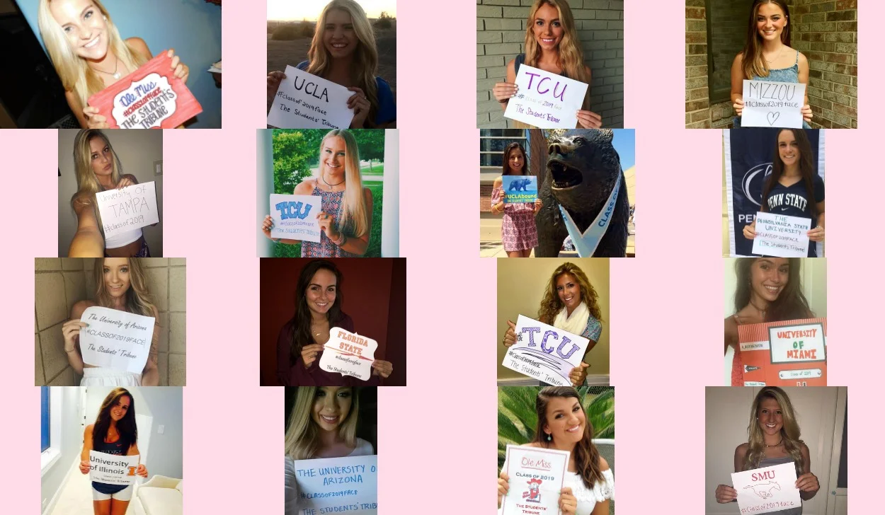 banner image 2016.jpeg