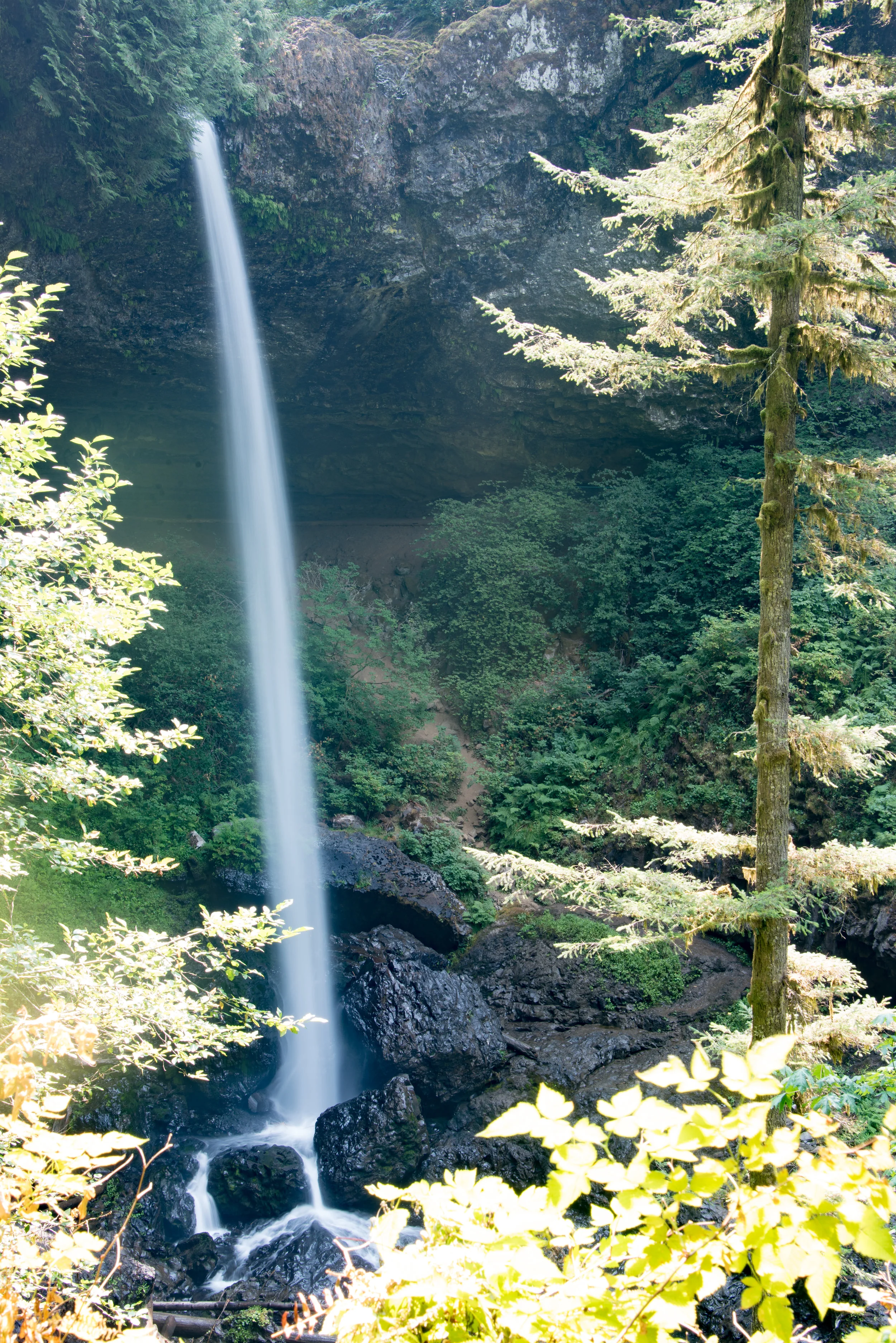 South Falls. ©2017 Images by Design