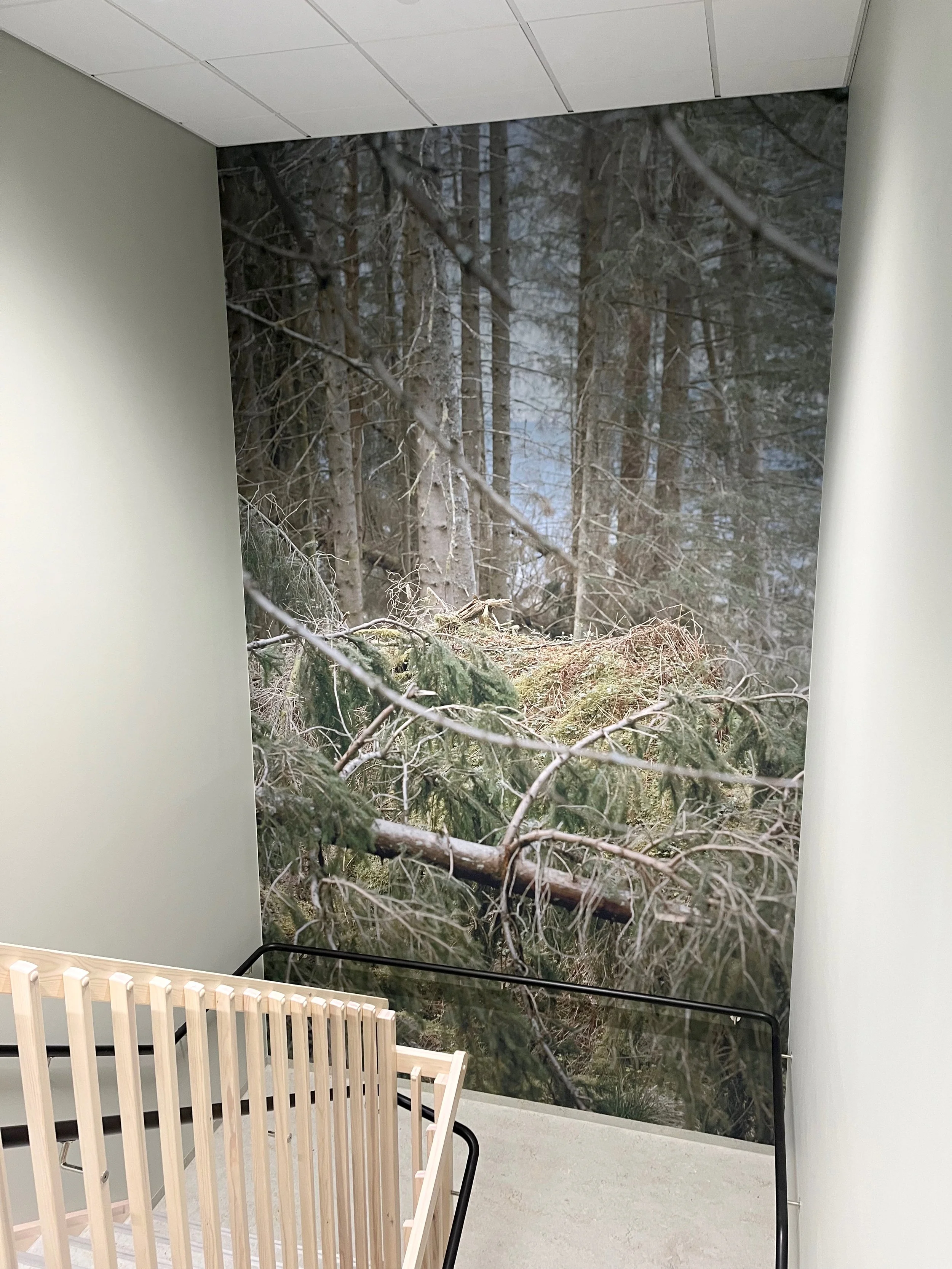 Utsmykning stord vgs - 1.jpeg