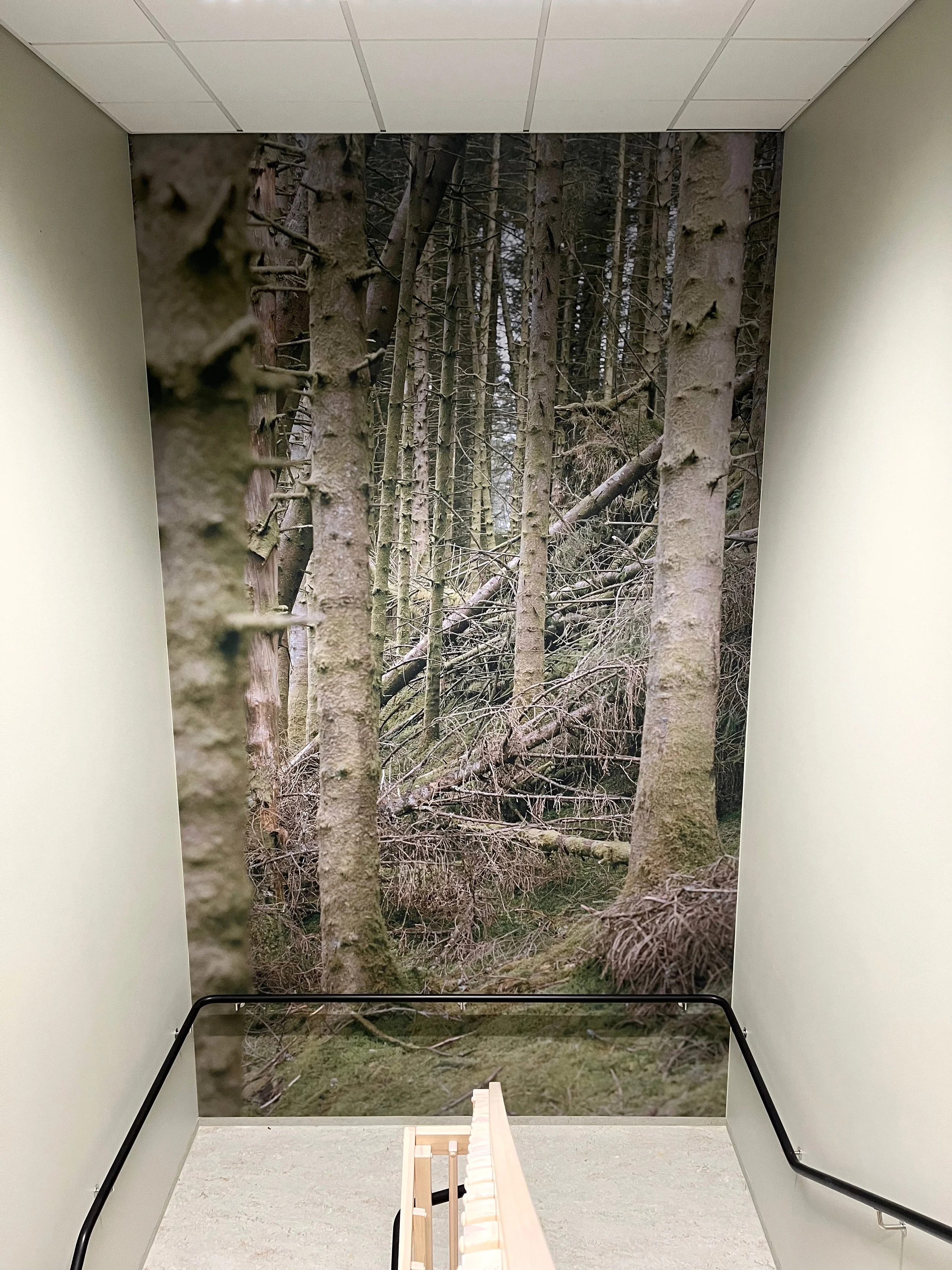 Utsmykning stord vgs - 2.jpeg