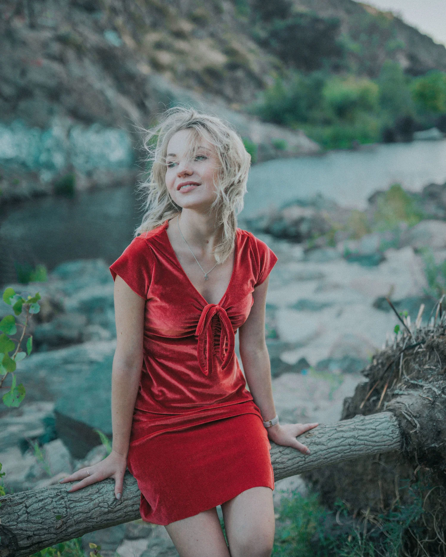 Friday pattern company - lucida dress.jpg