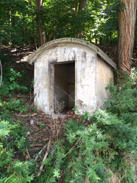 Oakwood Spring