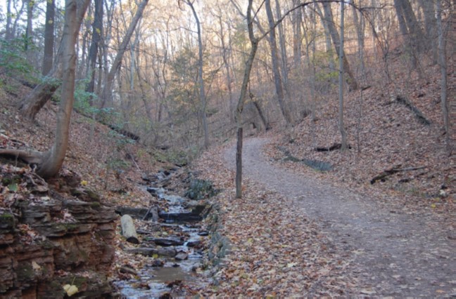 Falls Ravine Trail