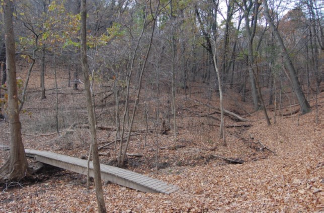 Wooden footbridge over stream on Iron Grate Trail