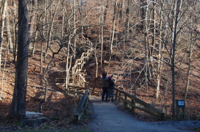 Wooden steps from Fern Hollow to S. Braddock Ave.