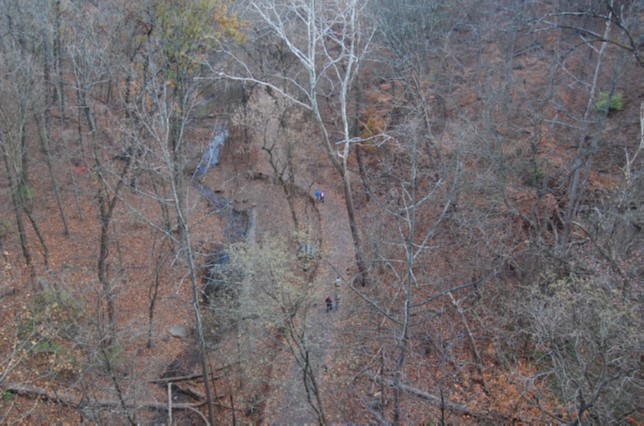 Tranquil Trail from Forbes Avenue Bridge