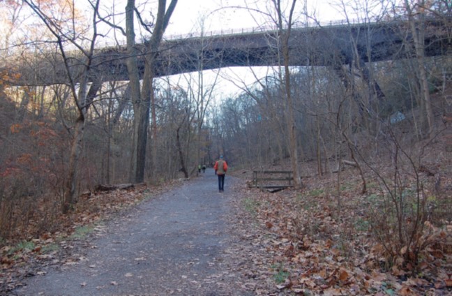 Forbes Avenue Bridge from Tranquil Trail