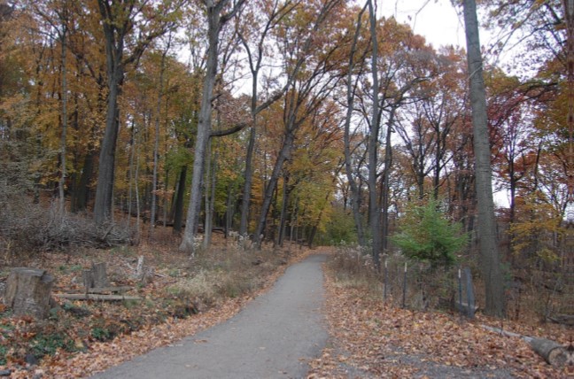 Entrance to Clayton Loop Trail encircling Frick Woods Nature Preserve