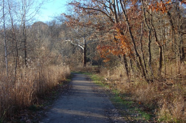 Nine Mile Run Trail