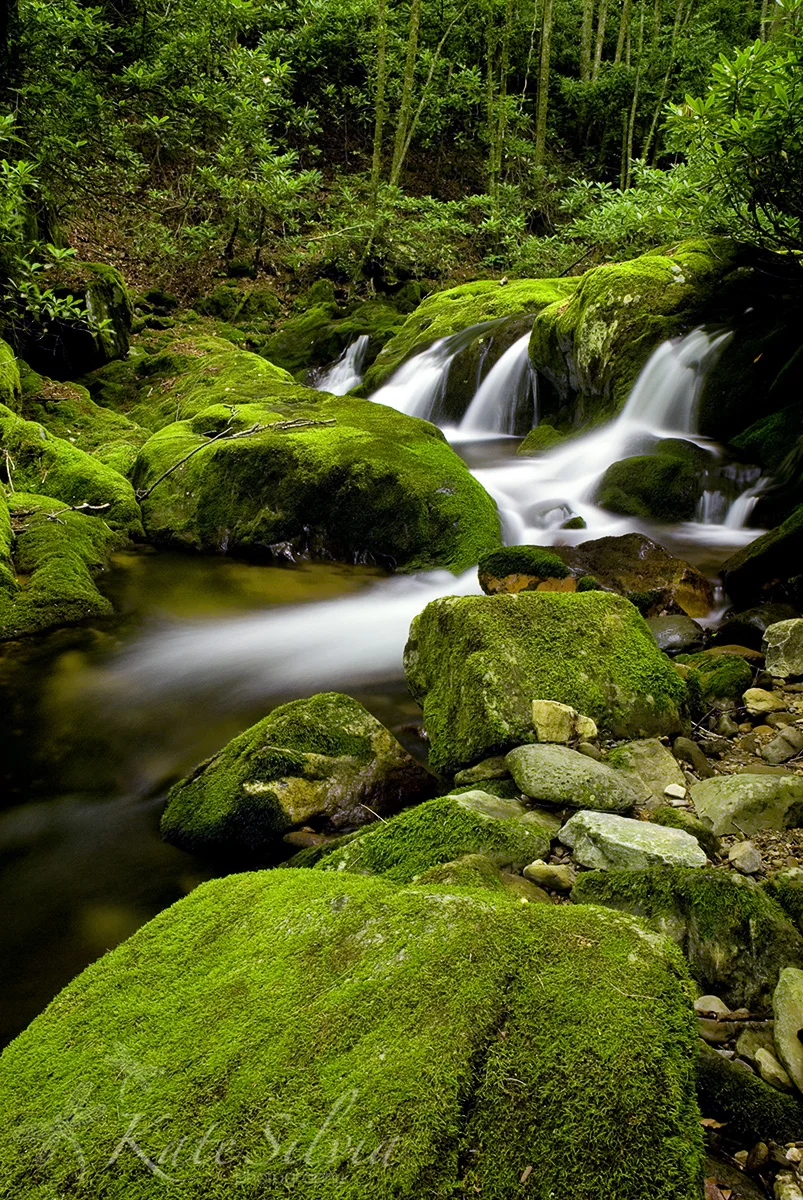 Rocky fork 2.jpg