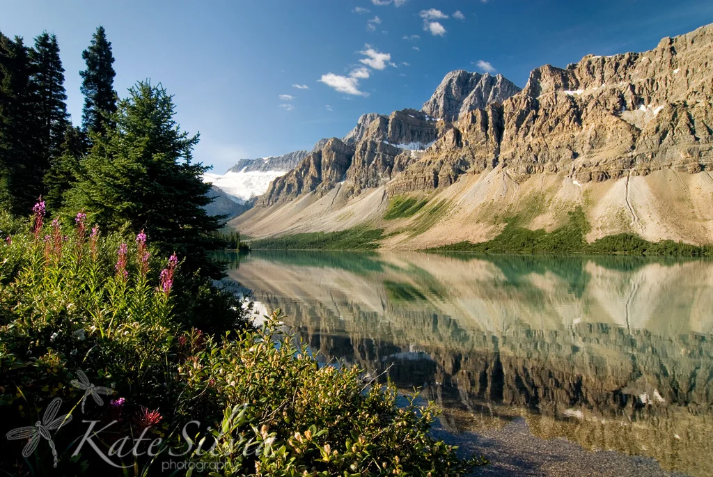Crow's foot and Bow Lake.jpg