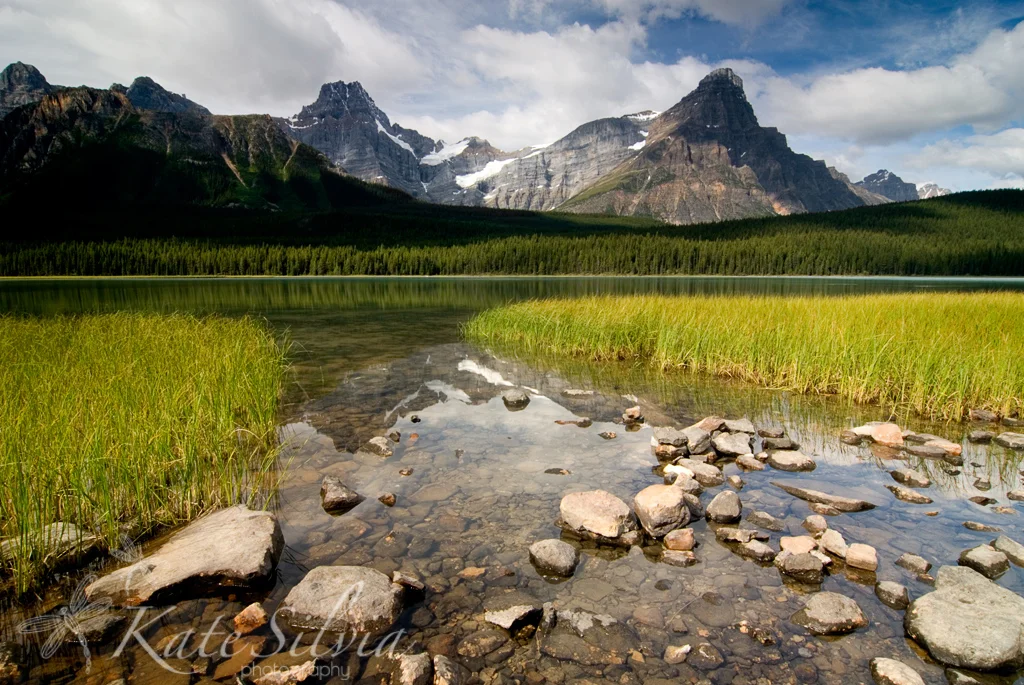 Marsh Reflection.jpg