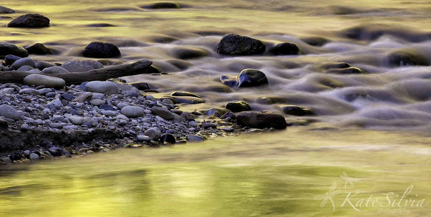 Yellow and Red reflected.jpg