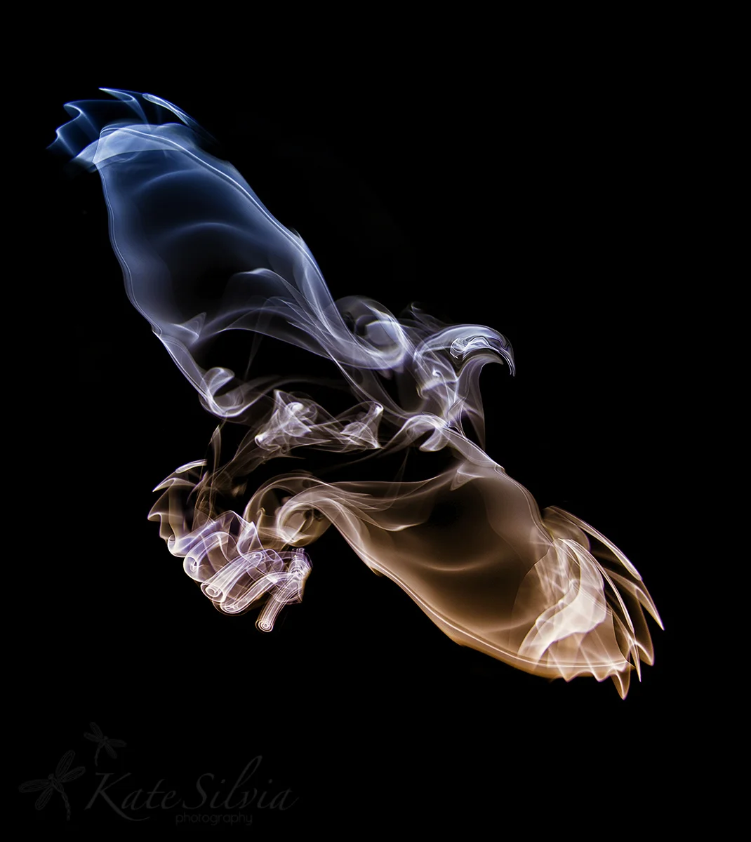 Smoke Eagle.jpg
