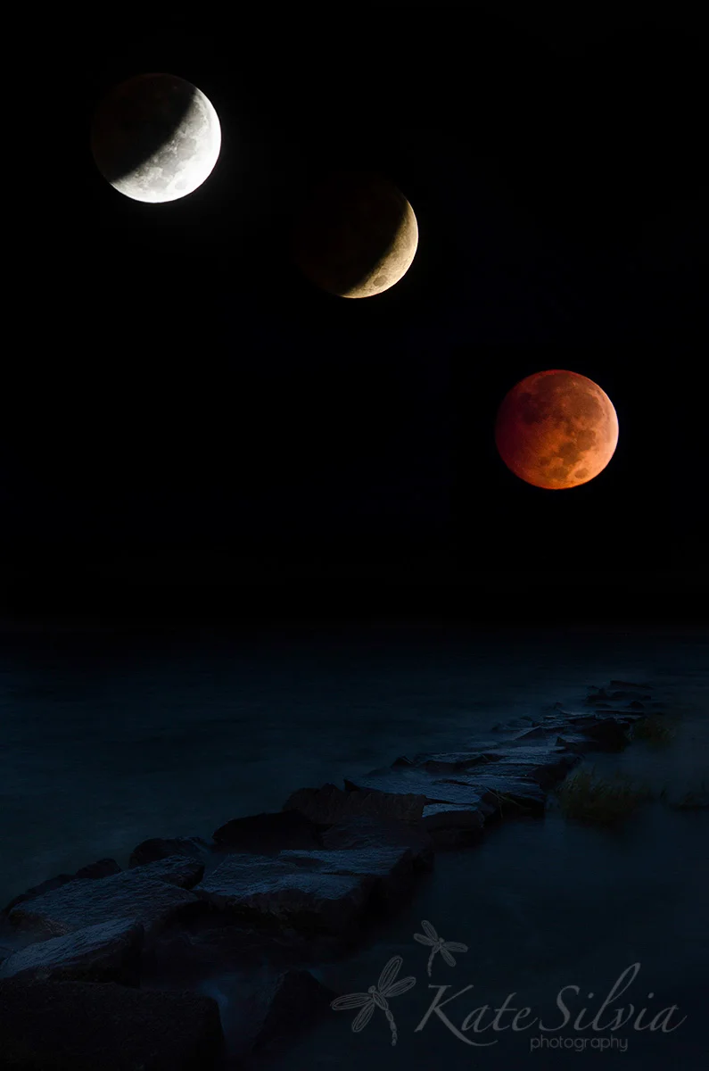 Lunar Eclipse Oct 2014 1-2.jpg