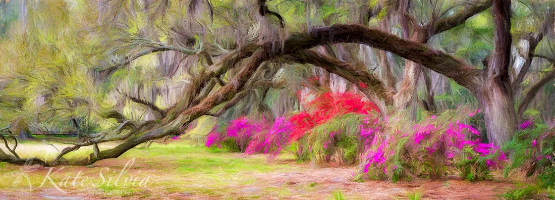 Magnolia Azalea and Live Oak Row Pano GG TopImpr Pastel1.jpg