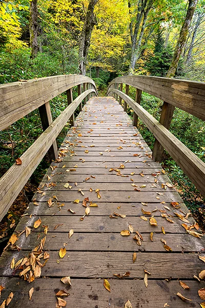 Bridge along the Rough Ridge Trail