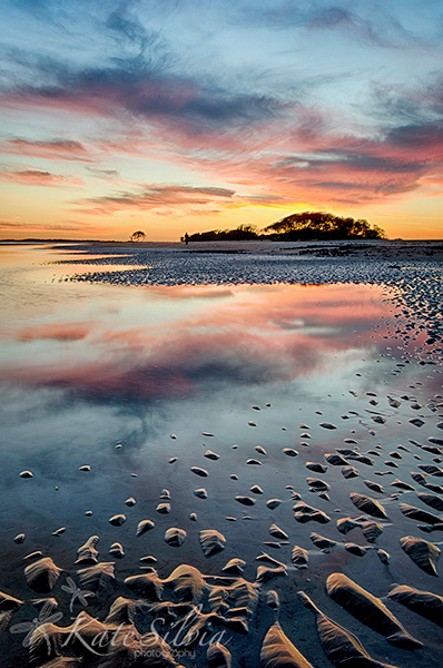 Folly Beach