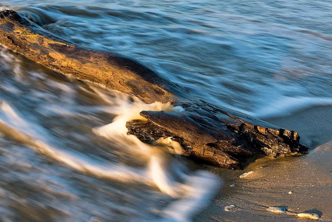 Botany Bay Sunkissed Log and waves no logo.jpg