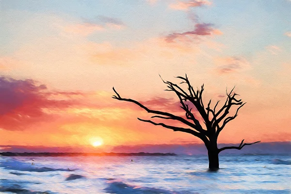 Botany Bay Summer Sunrise Lone Tree TopImp.jpg