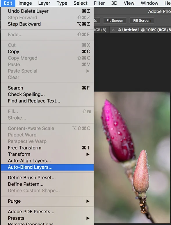 Focus Blend Auto Blend Layers Menu.jpg