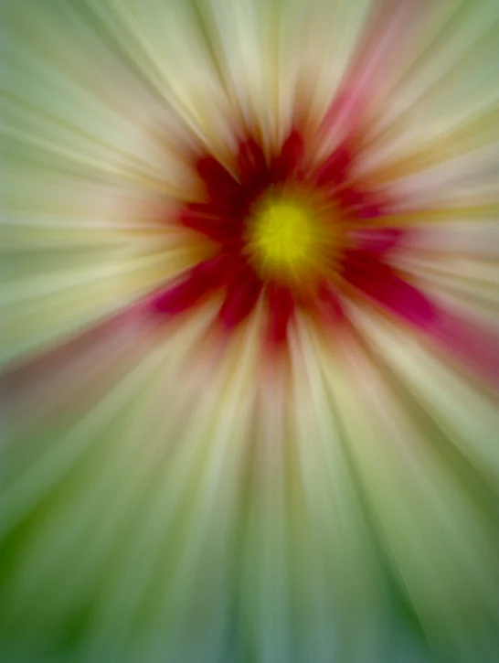I did another zoom blur on this flower because...hey...it's just FUN! I also cropped off center to place the flower in the upper right third.