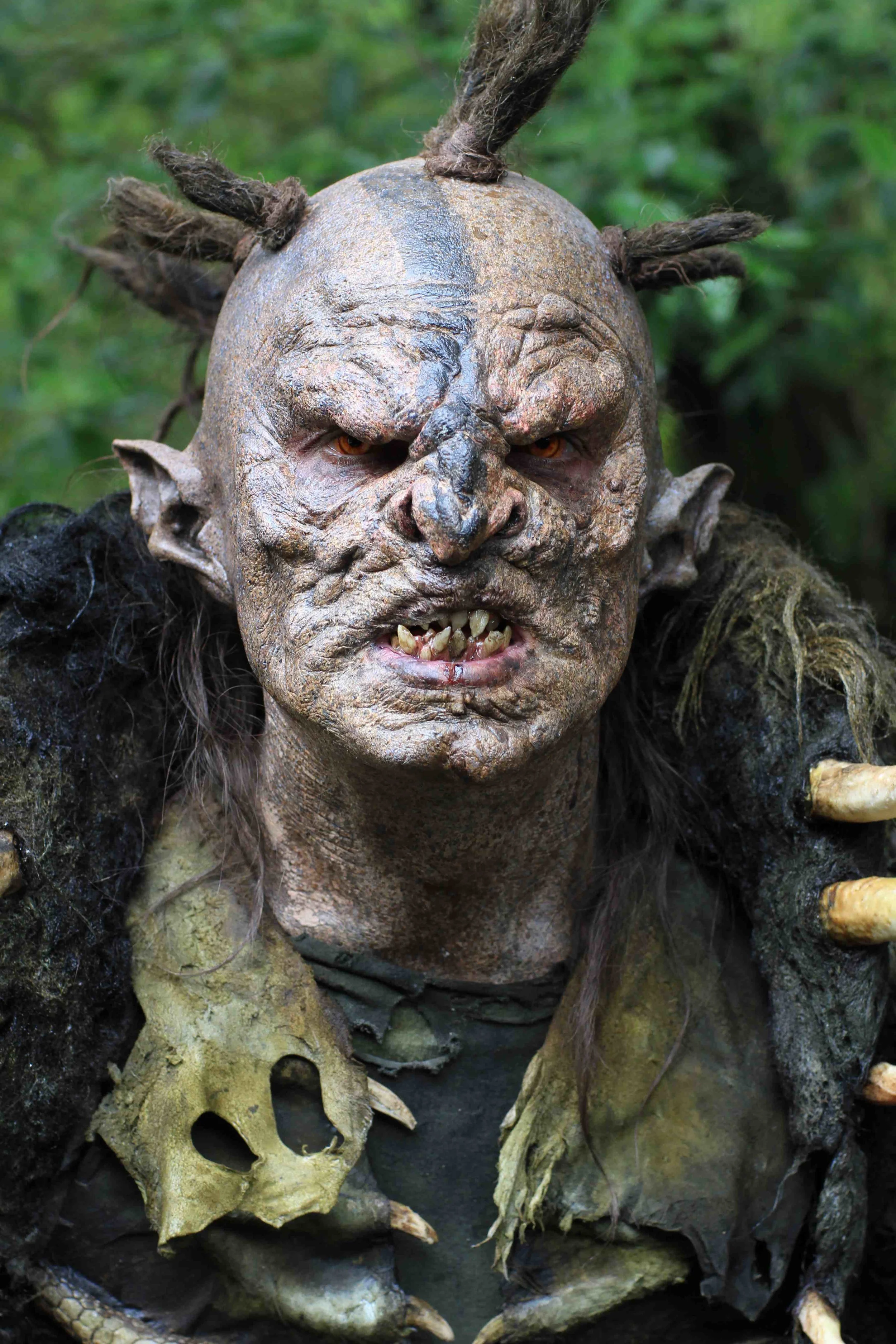 orc1.jpg