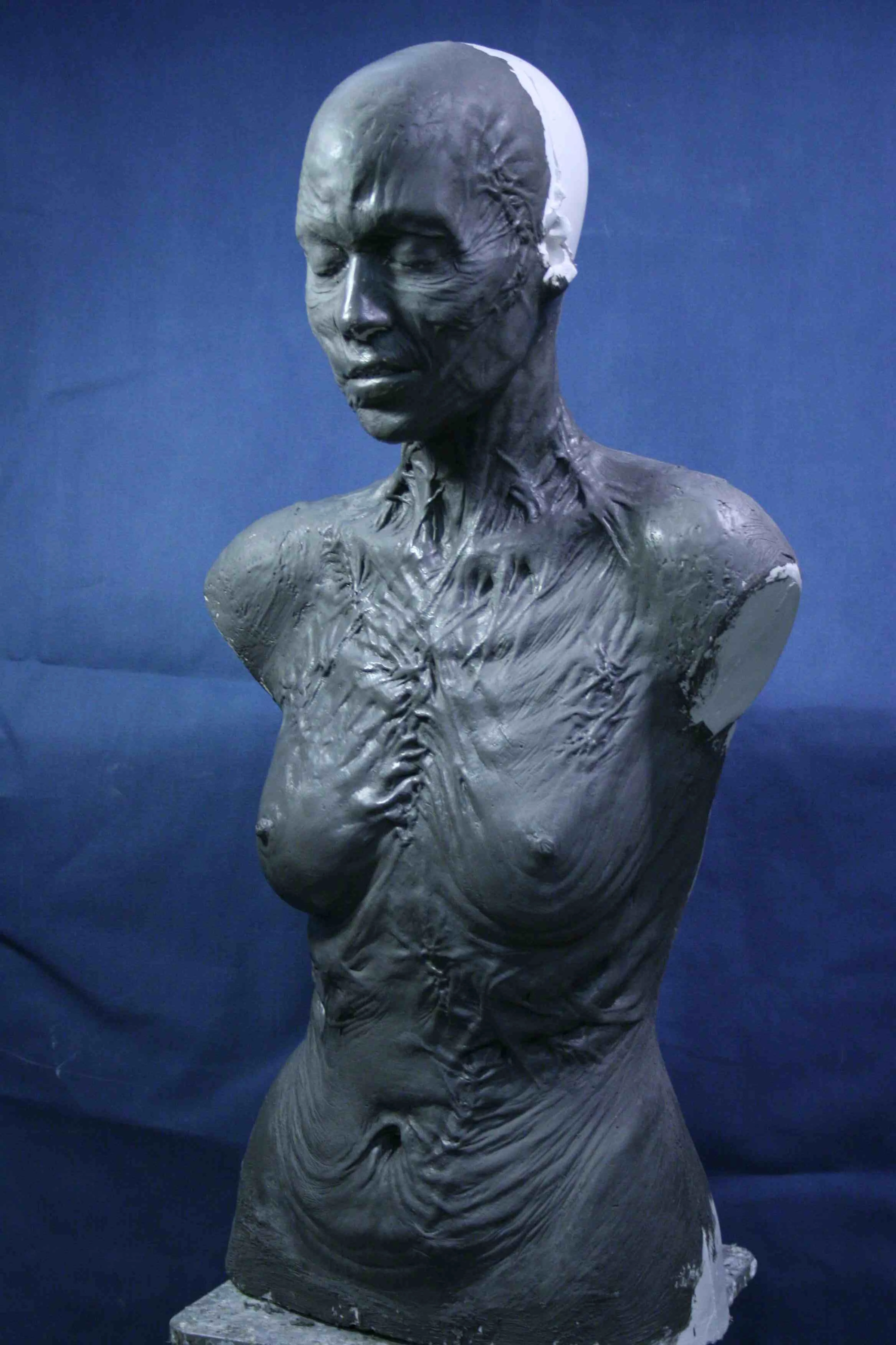 banshee bust low.jpg