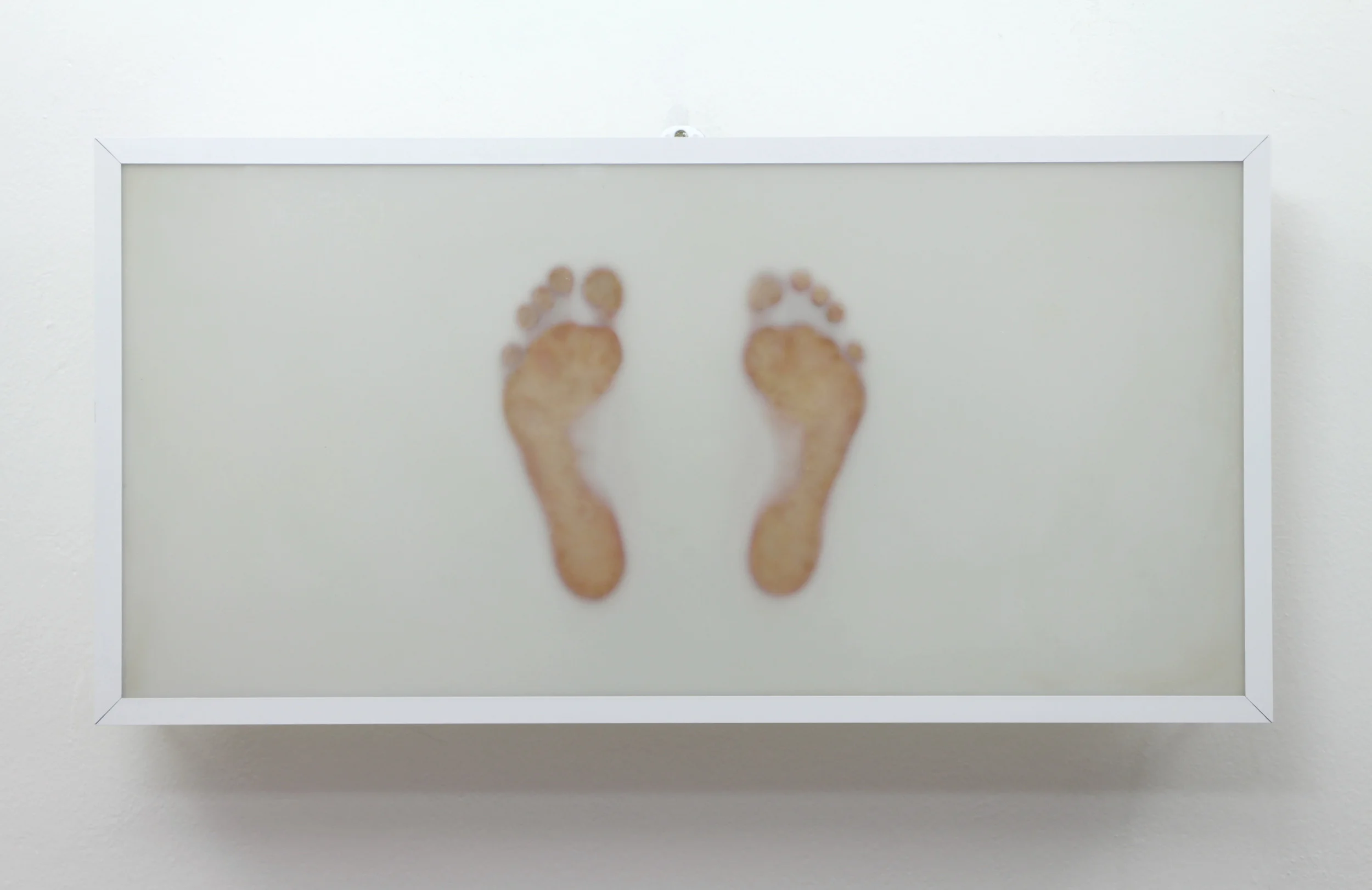 piedi 5.jpg