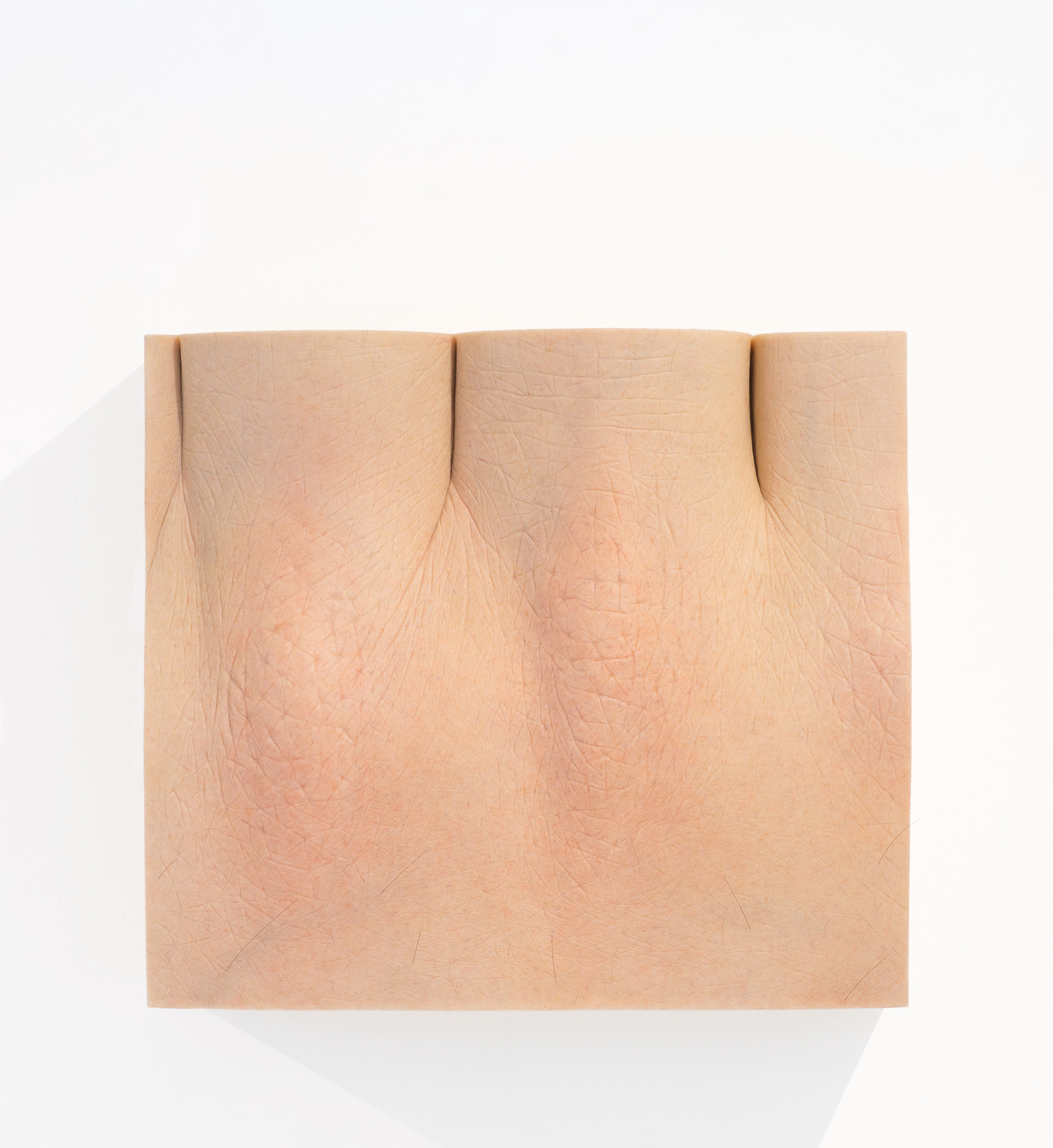 inthebox_mano_dsc02740_sRGB.jpg