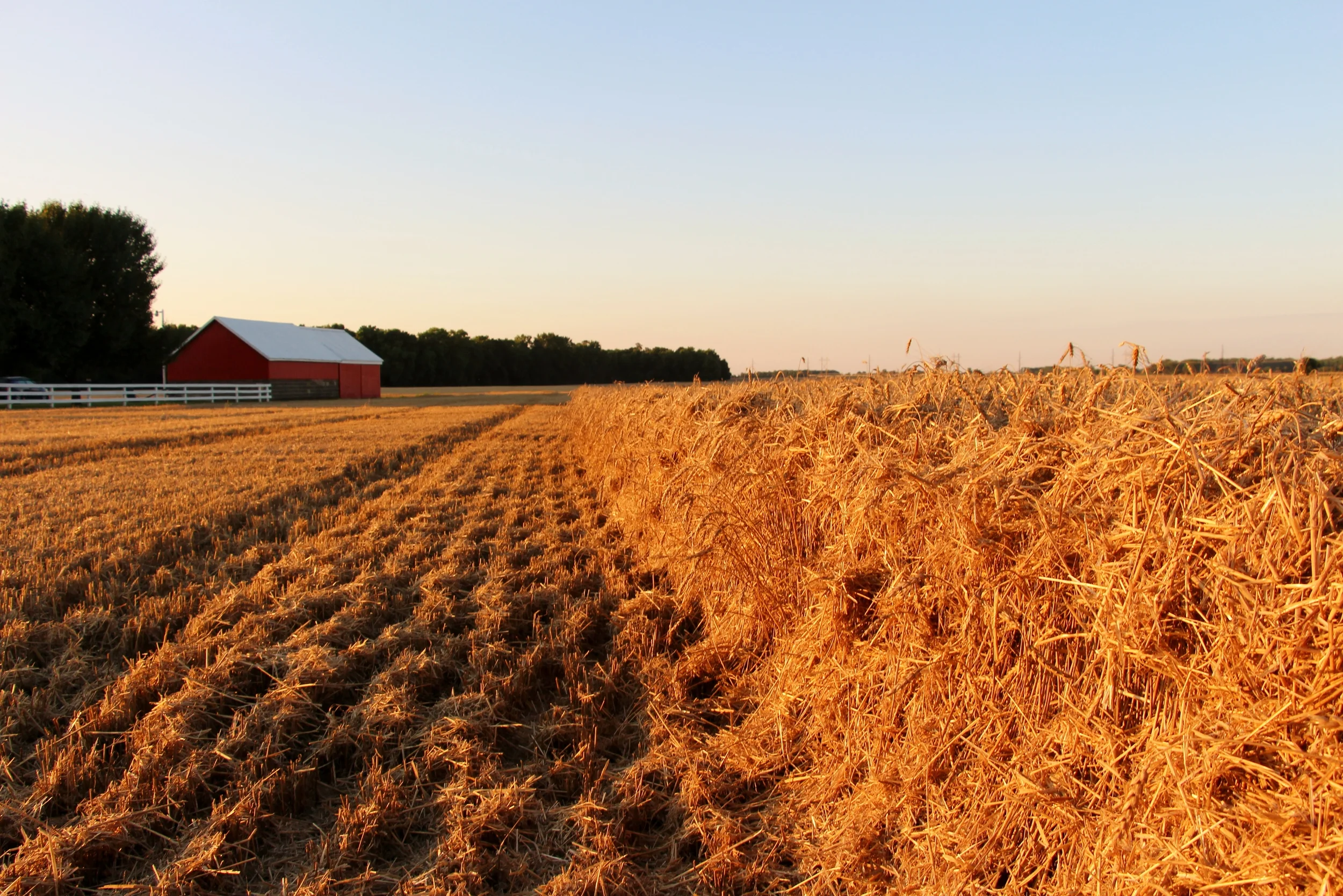 barn photo.JPG