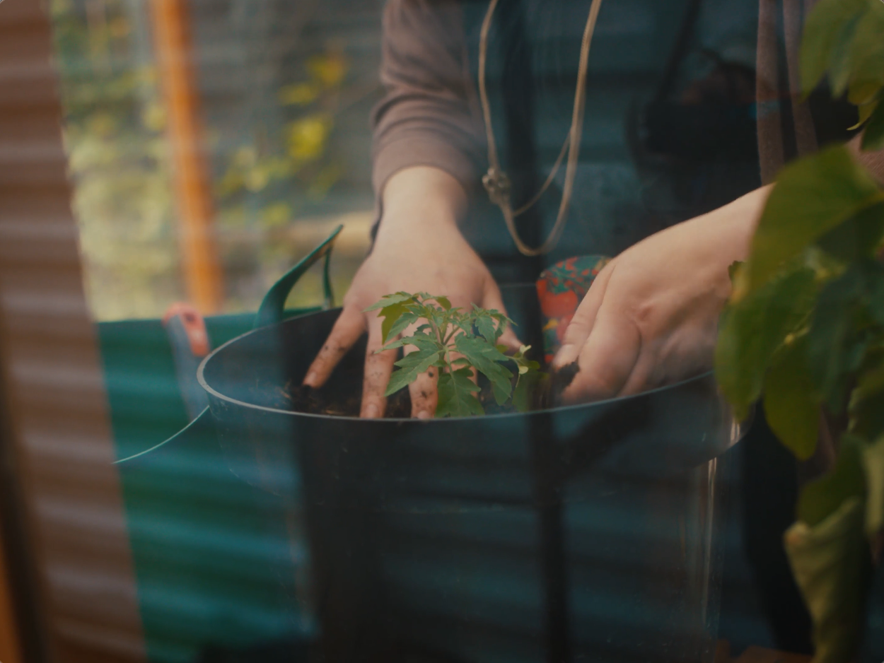Screenshot 2026-09-22 at 11.16.50.png