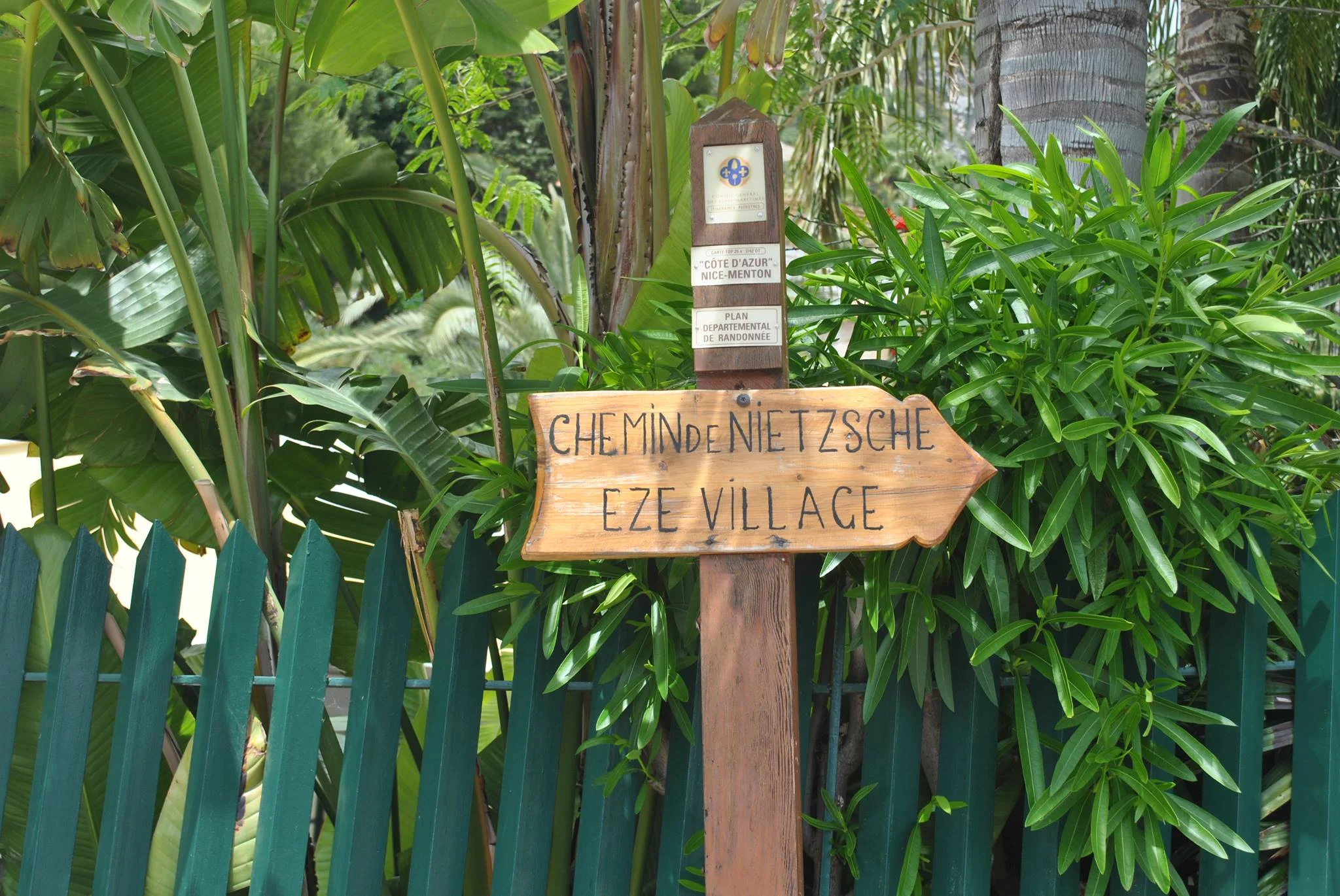 Le Chemin Nietzsche - Photograph by Sophia Di Vitto