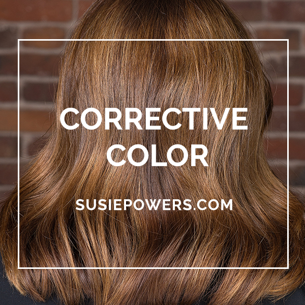 Balayage Education and Classes // Corrective Color — Susie Powers