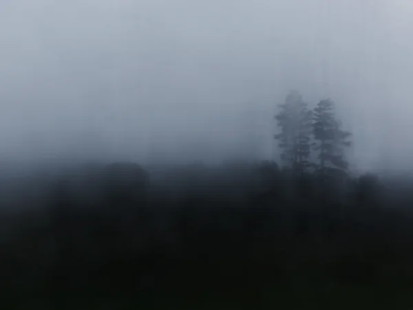 Graydon04.jpg