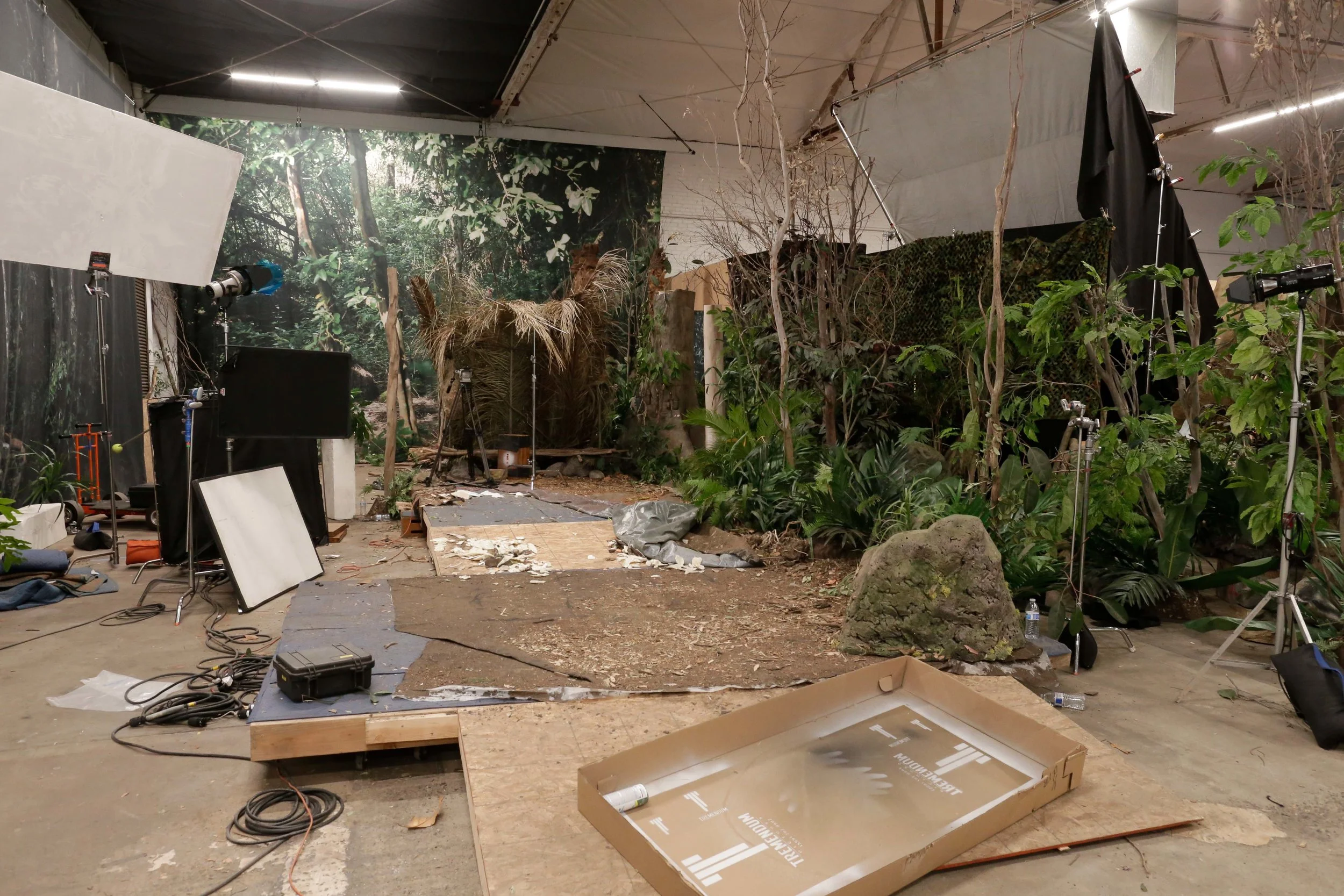 Wide, brightly lit view of our studio jungle with all its parts. Aka, how you should never see our studio jungle.