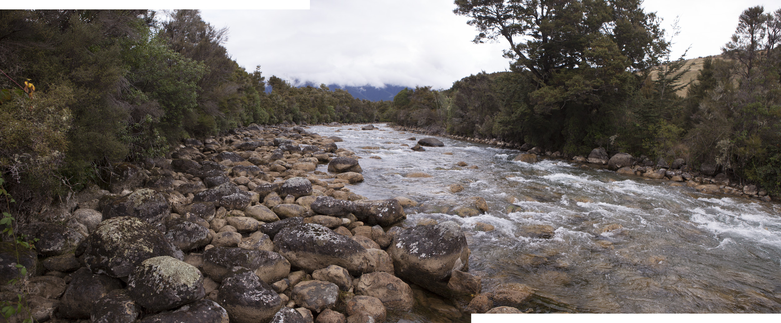 Come visit our vineyard with your friends & family and take a dip in the creek.