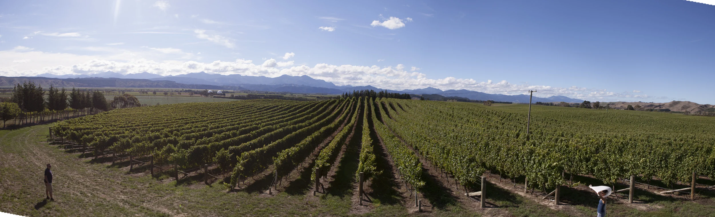 1564-66-67Fields_Panorama1_3_2015.jpg