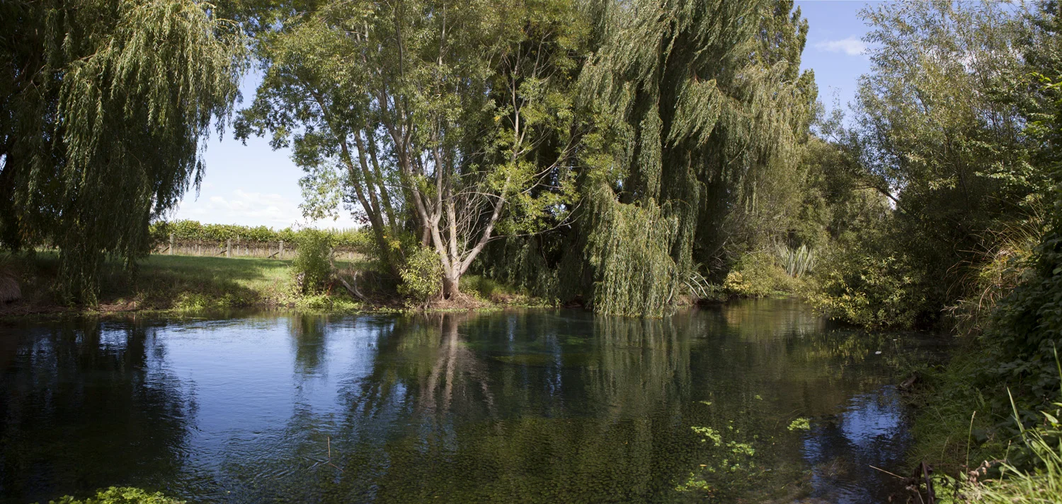 1146-47Landscape_Panorama42.jpg