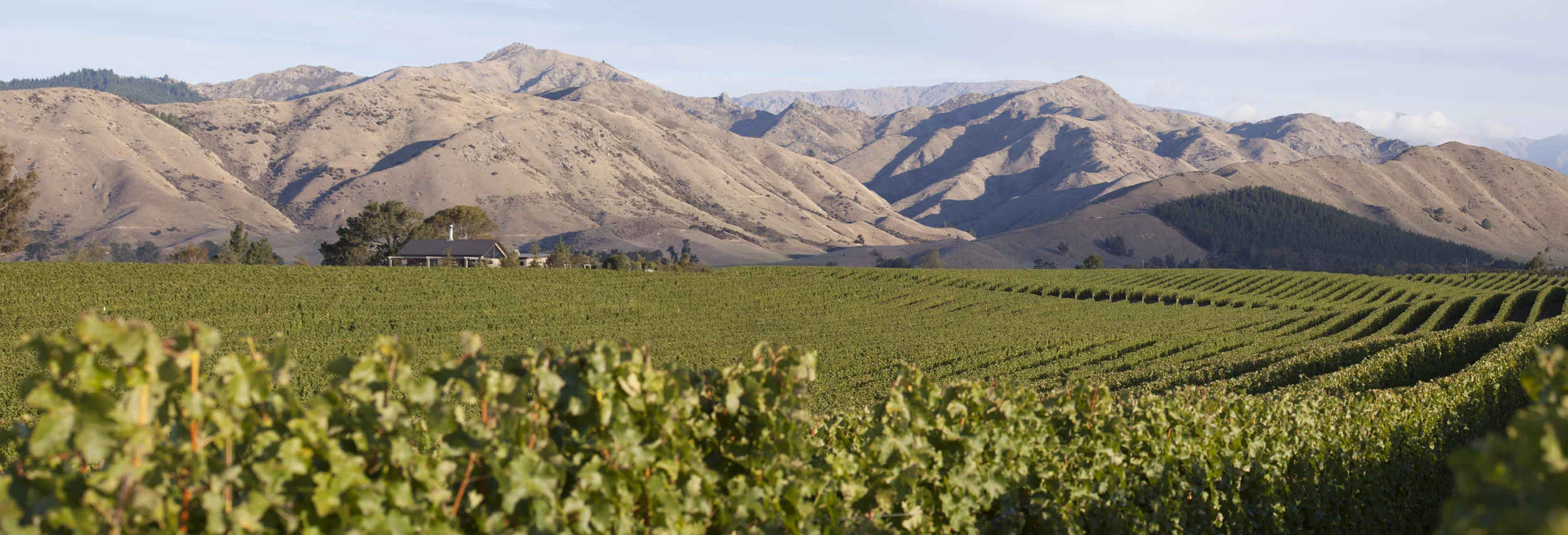 3258-59Fields_Panorama13_3_2015.jpg